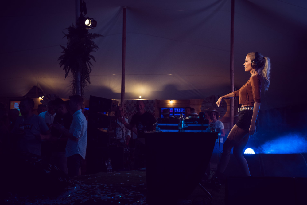 Festivals & Concerts