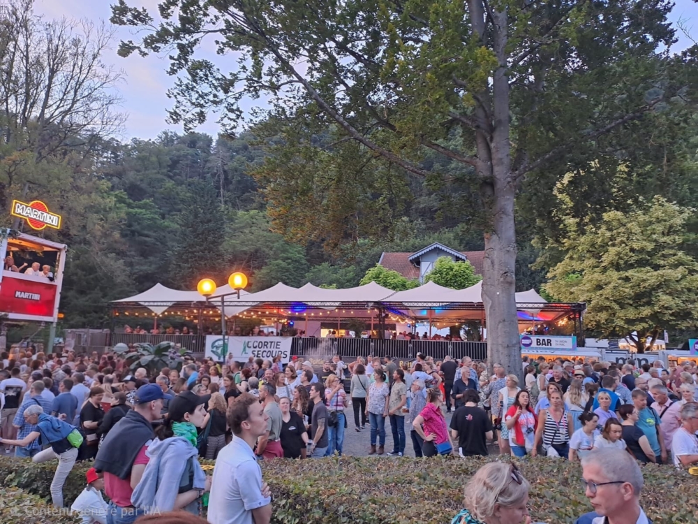 Festivals & Concerts